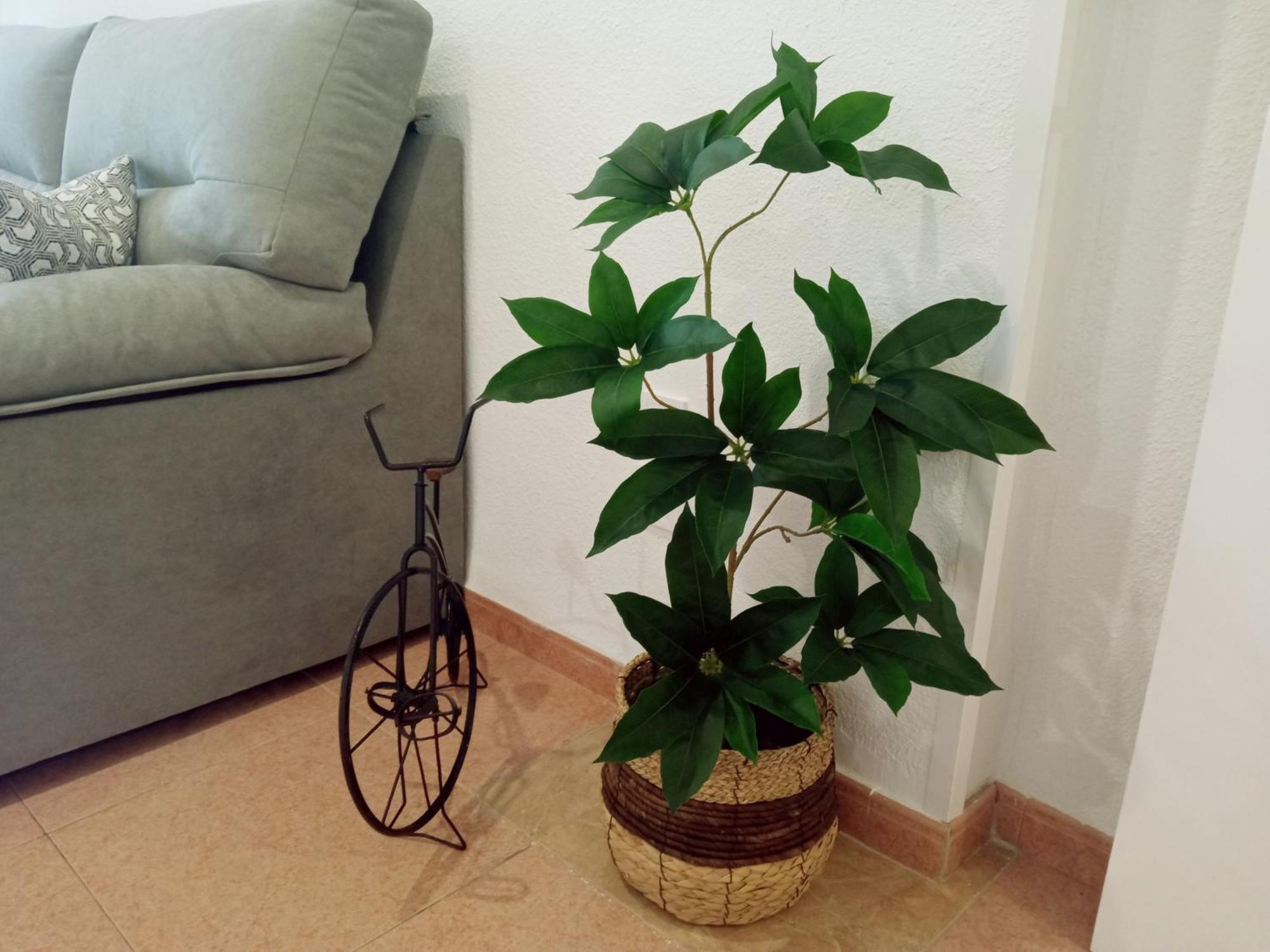 קורדובה Apartamento Los Jardines De La Magdalena מראה חיצוני תמונה